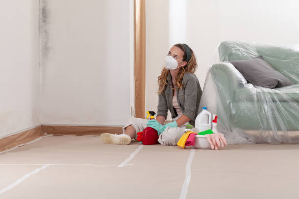 Reliable Mold Remediation contractor in Stockbridge, GA by 24 Hour Mold Removal